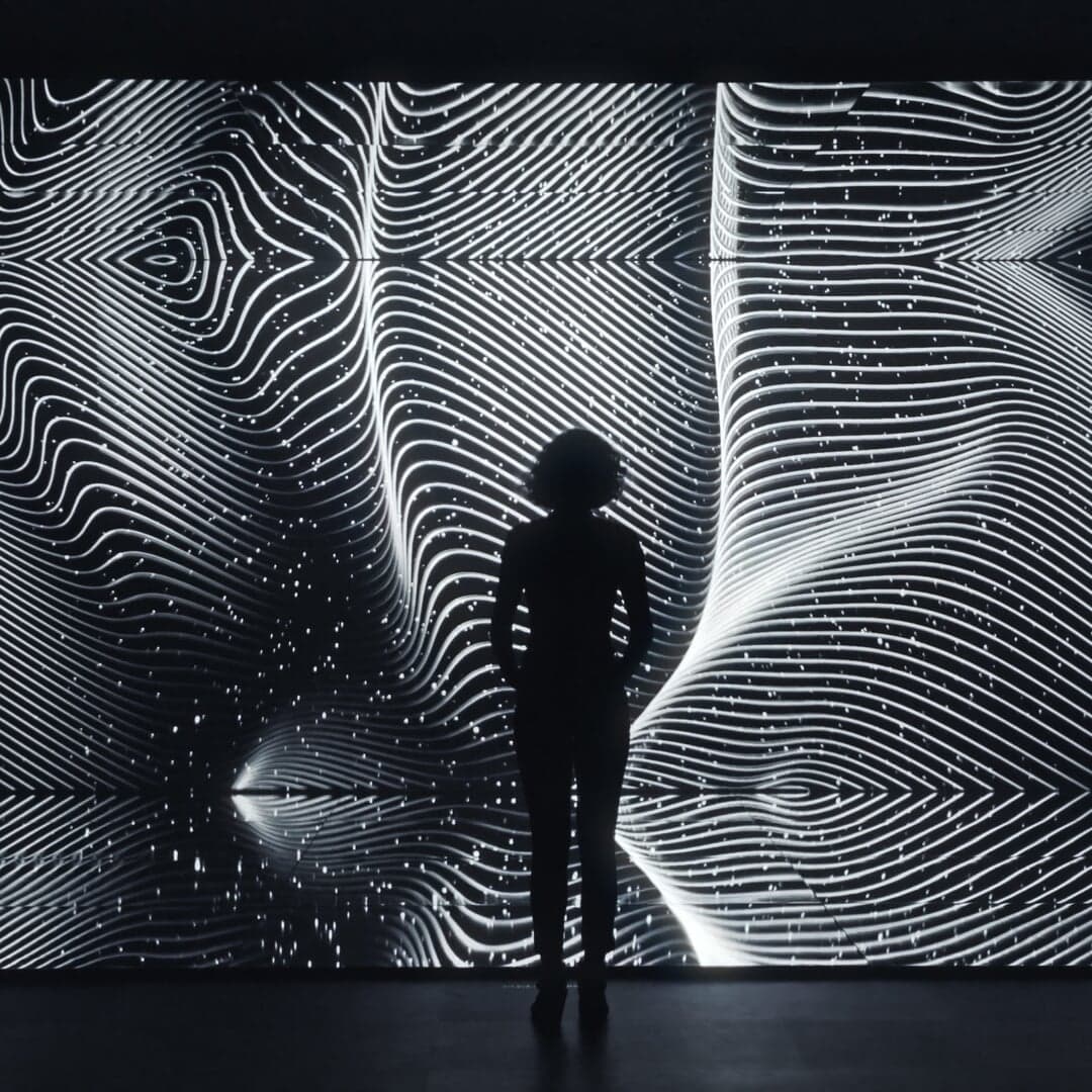 Immersive Installation For Istanbul Biennale