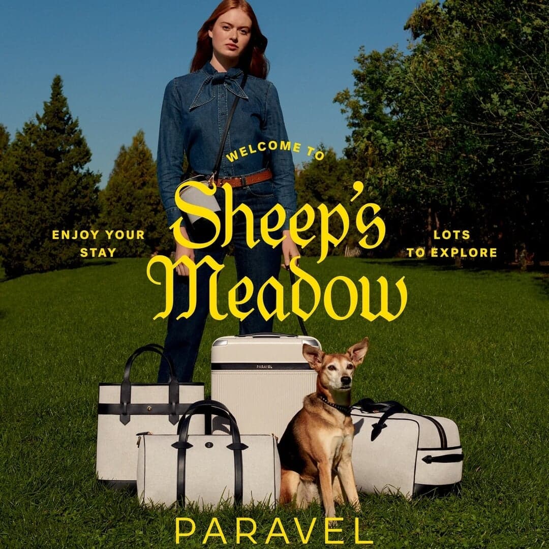 Campaign Development For Paravel Luggage