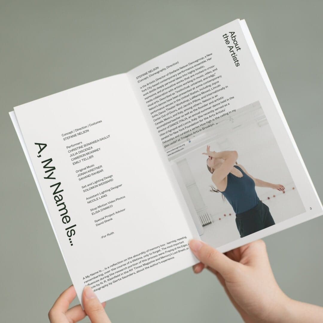 Brand Identity For Stefanie Nelson Dancegroup