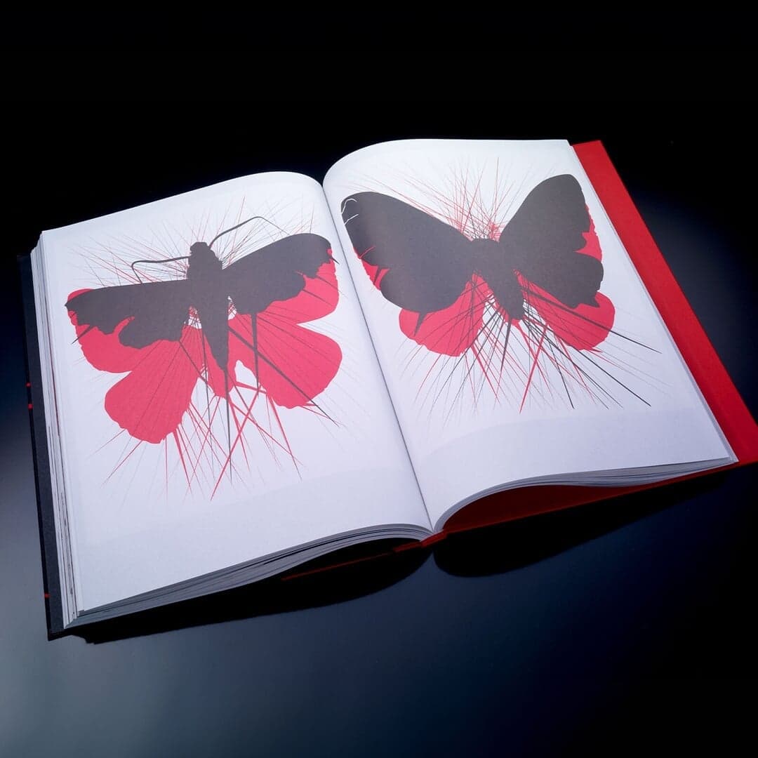 Corporate And Digital Identity For Daros Collection