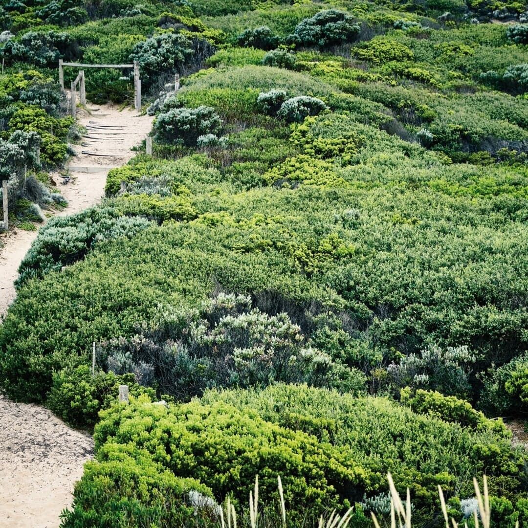 Print Publication For Inform Monfort Beach House