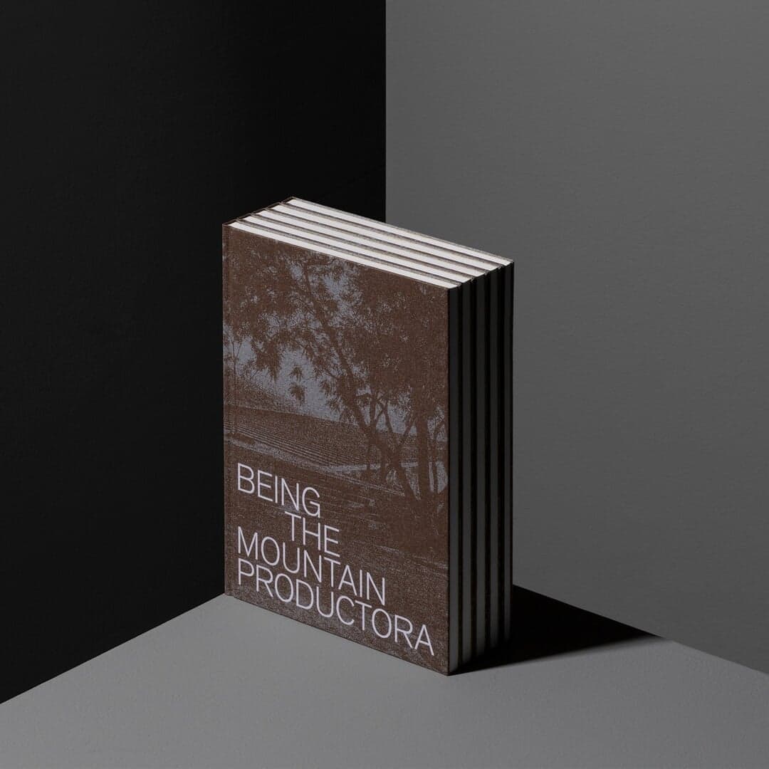 Editorial Design For Being The Mountain Book