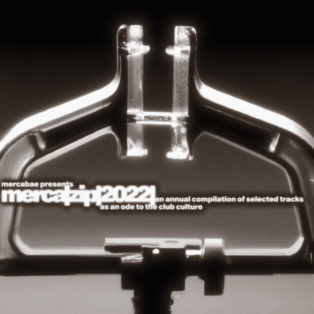 Visual Identity For Merca Zip /22/ Ultracompressed