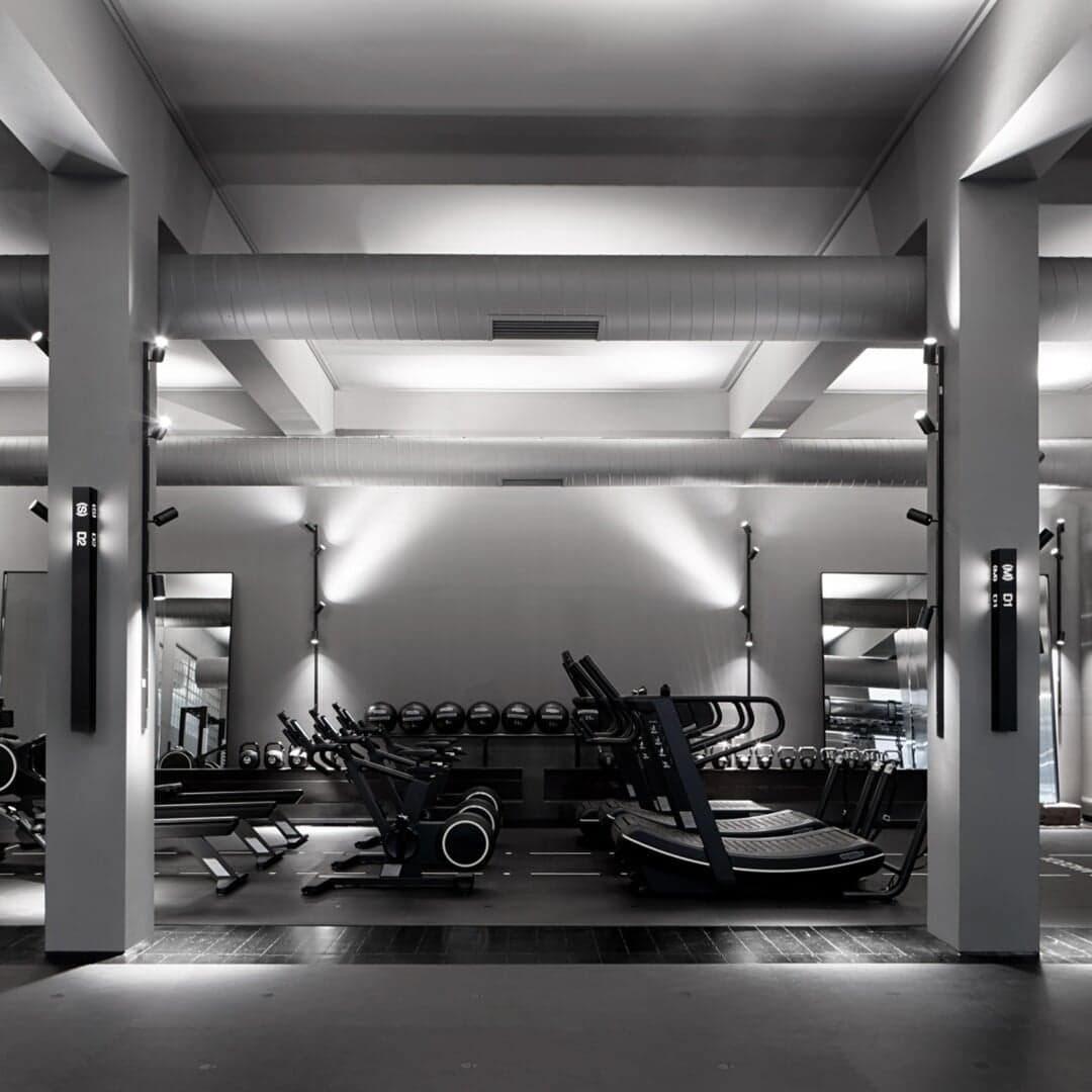 Art Direction For Maddox