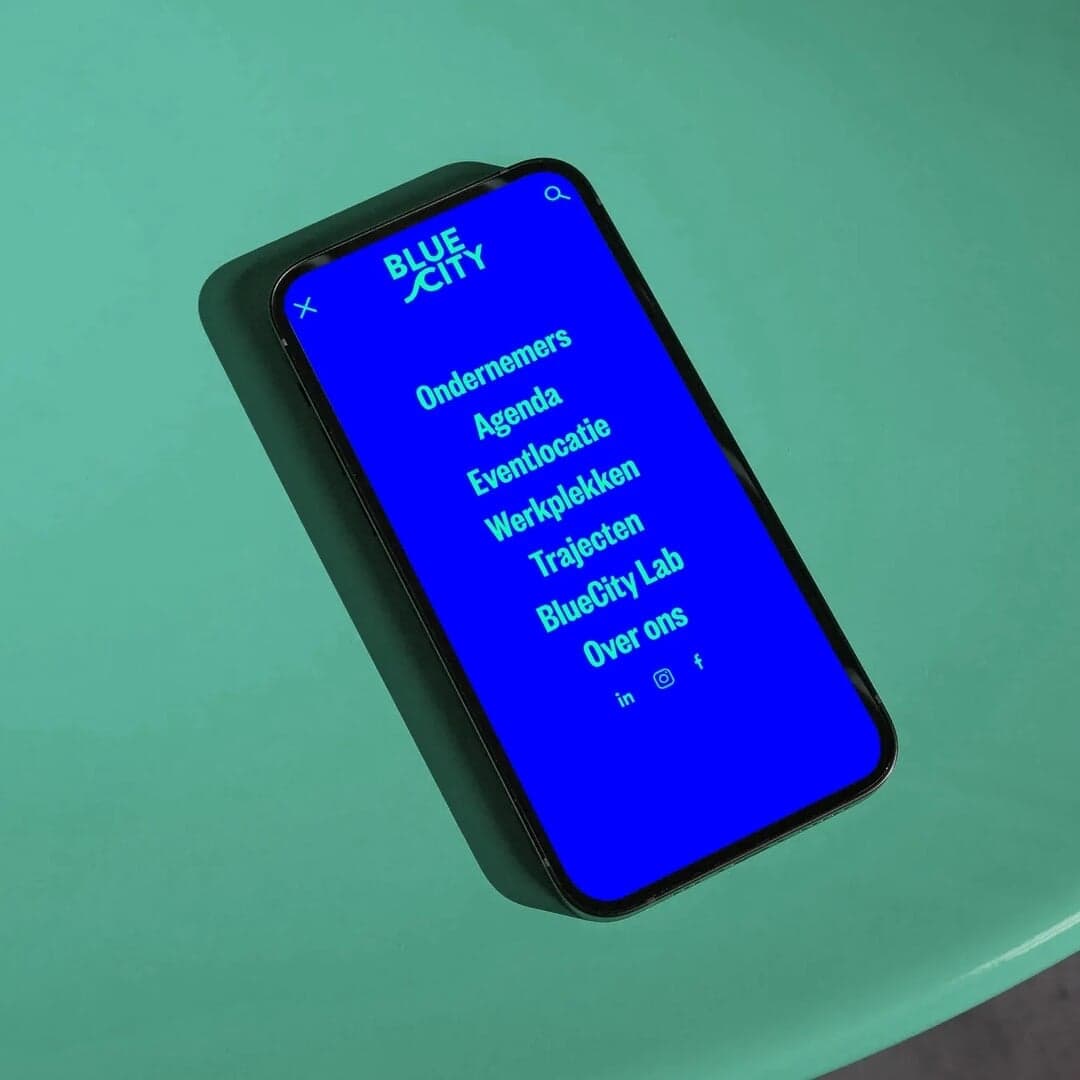 Brand Identity And Website Redesign For Bluecity