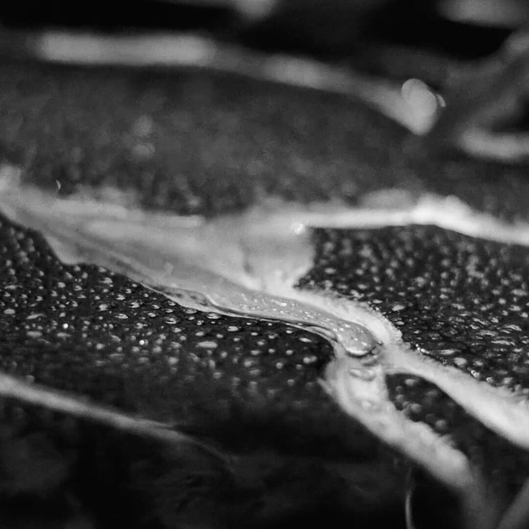 Visual Identity And Film For Tedxamazônia