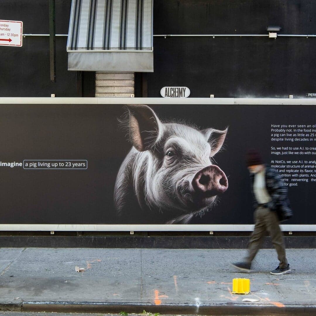 Ai Awareness Campaign For Notco