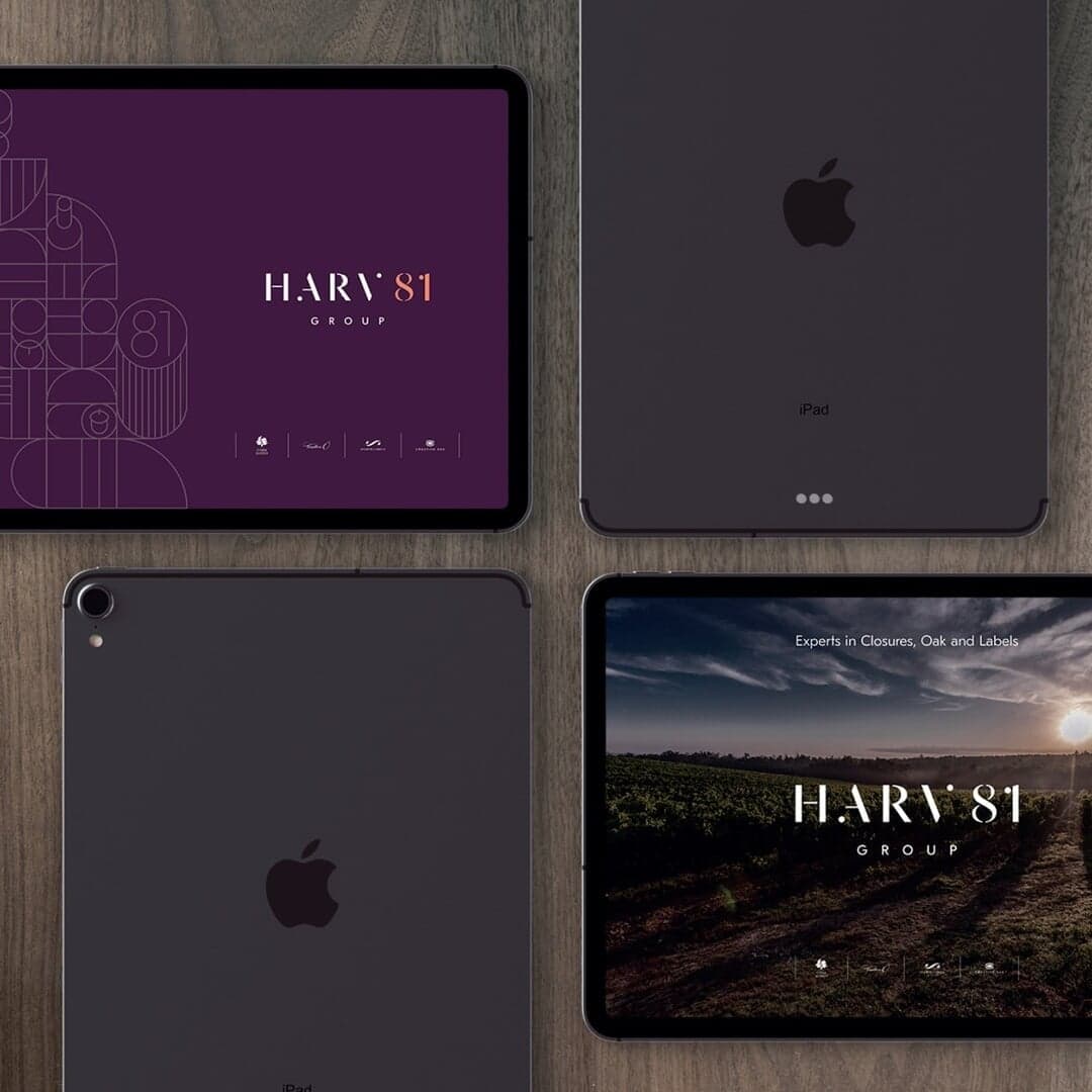 Brand Identity For Harv 81 Group