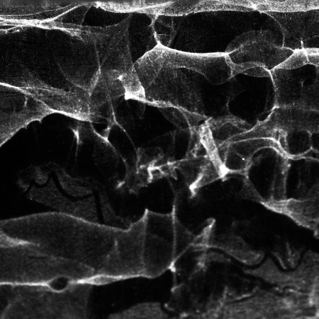 Brand Identity For Lucide Cbd Oils