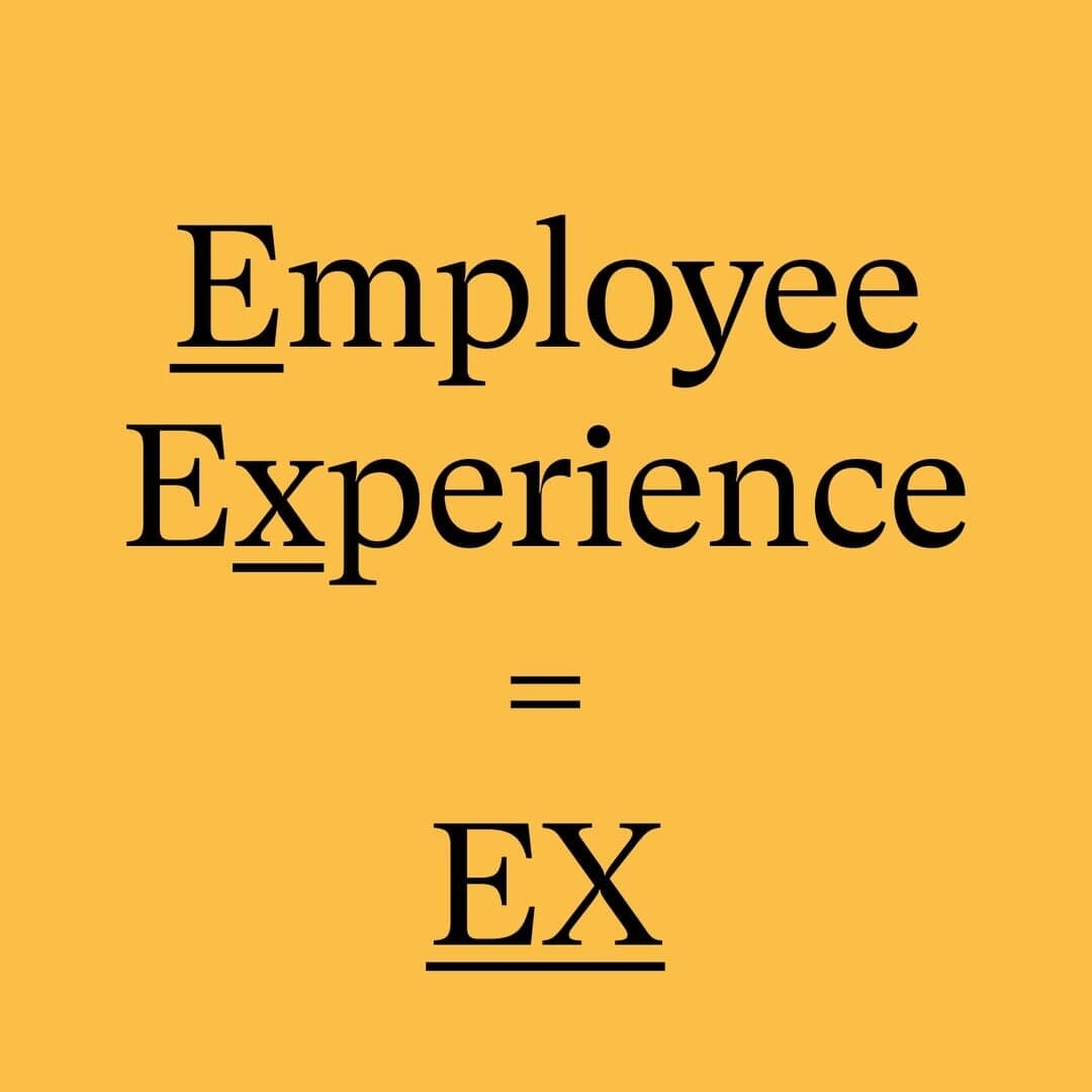 Brand Positioning And Identity For The Icehouse