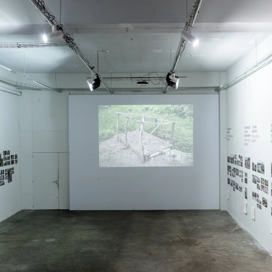 Exhibition Design For Notes From The Underdog