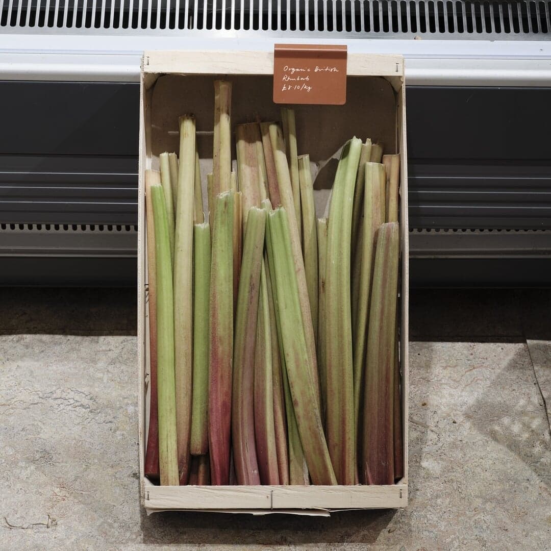 Brand Identity For All Greens