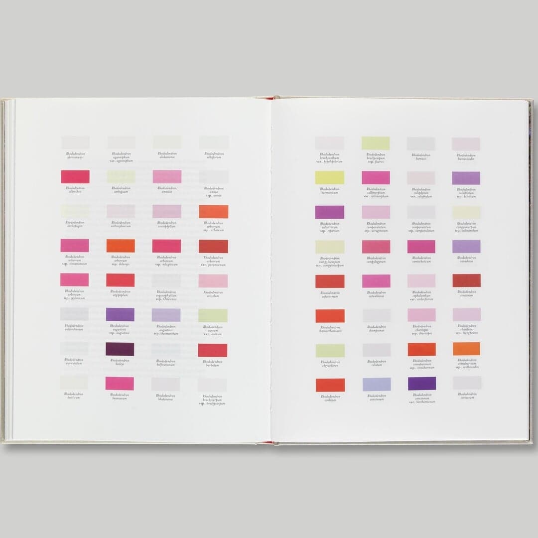 Book Design For Another Green World By Alison Turnbull And Philip Hoare