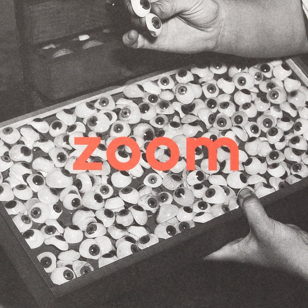 Book Design For Humans And Other Animals