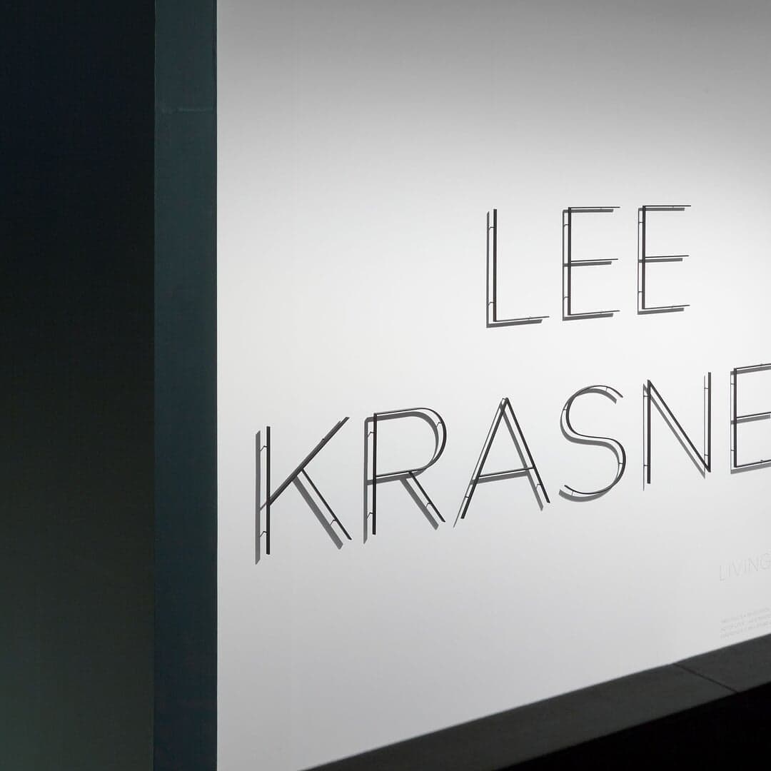 Exhibition And Publication Design For Lee Krasner: Living Colour