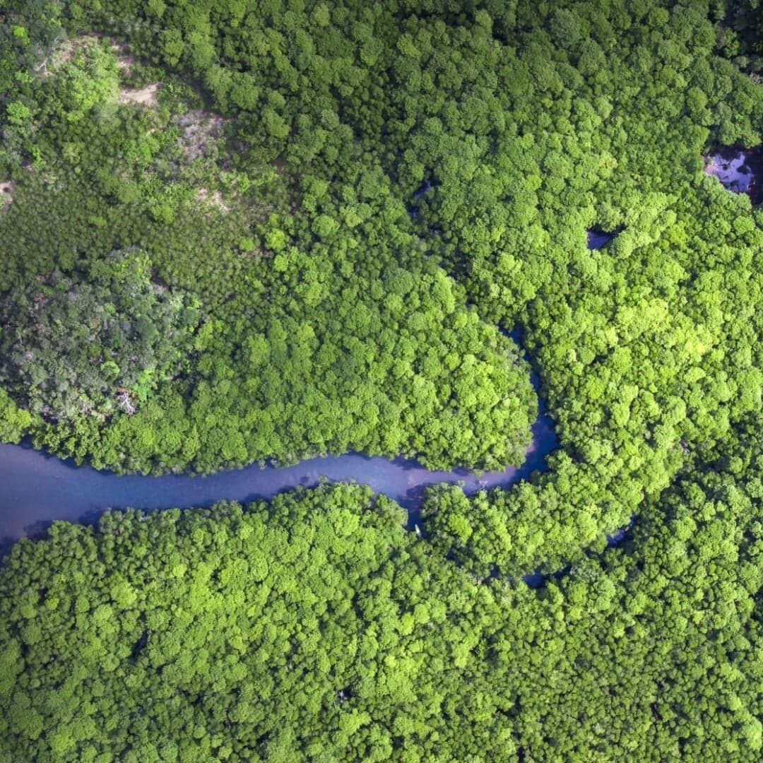 Launch Campaign For Adidas Stan Smith Mylo