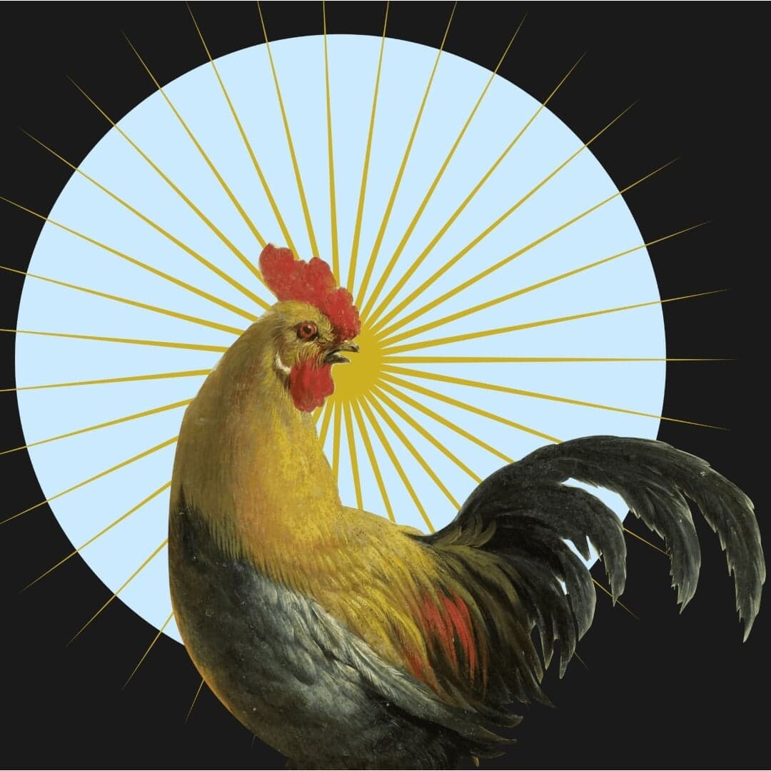 Visual Identity And Animation For Palavra Alada