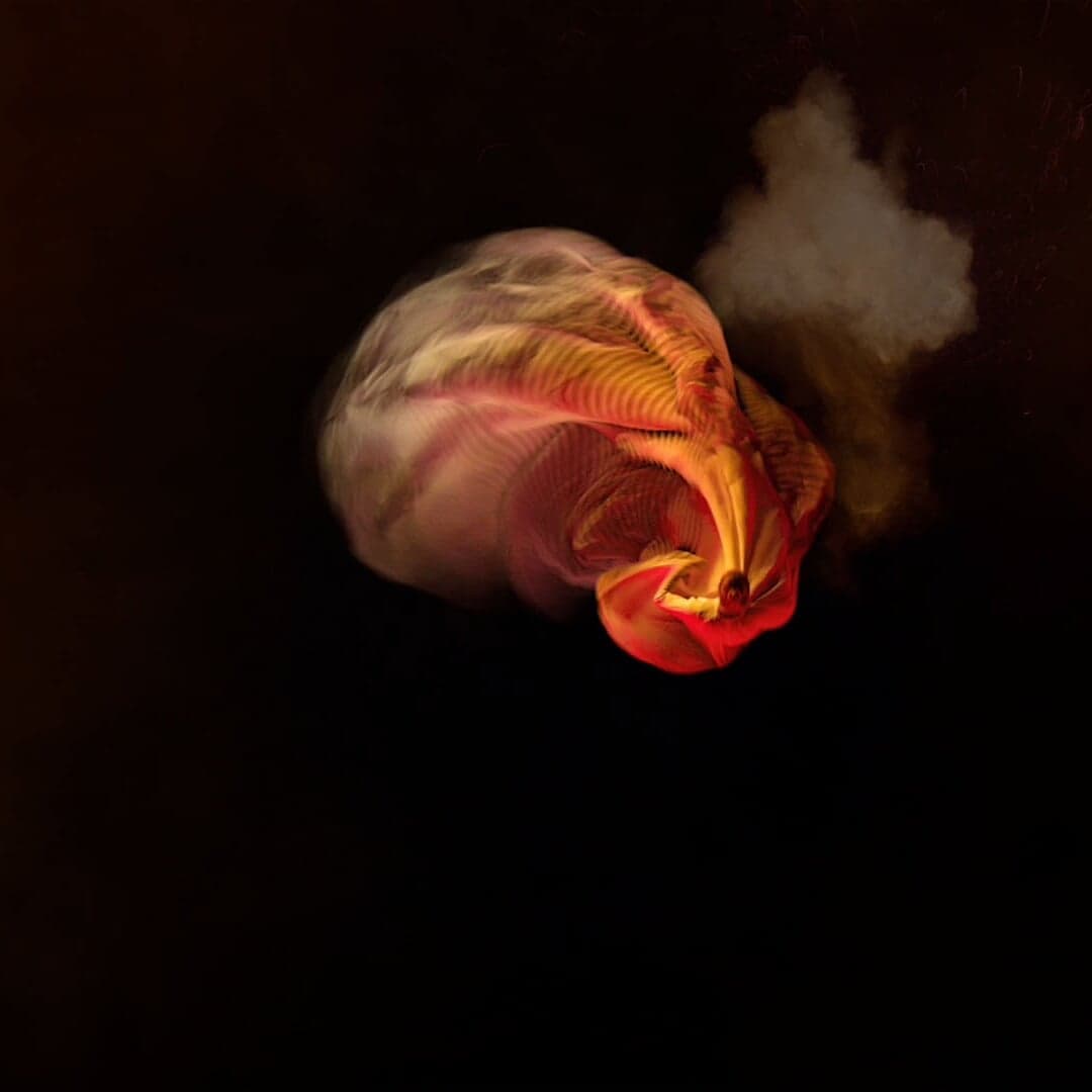 Visual Campaign For London Symphony Orchestra 2020/21 Season