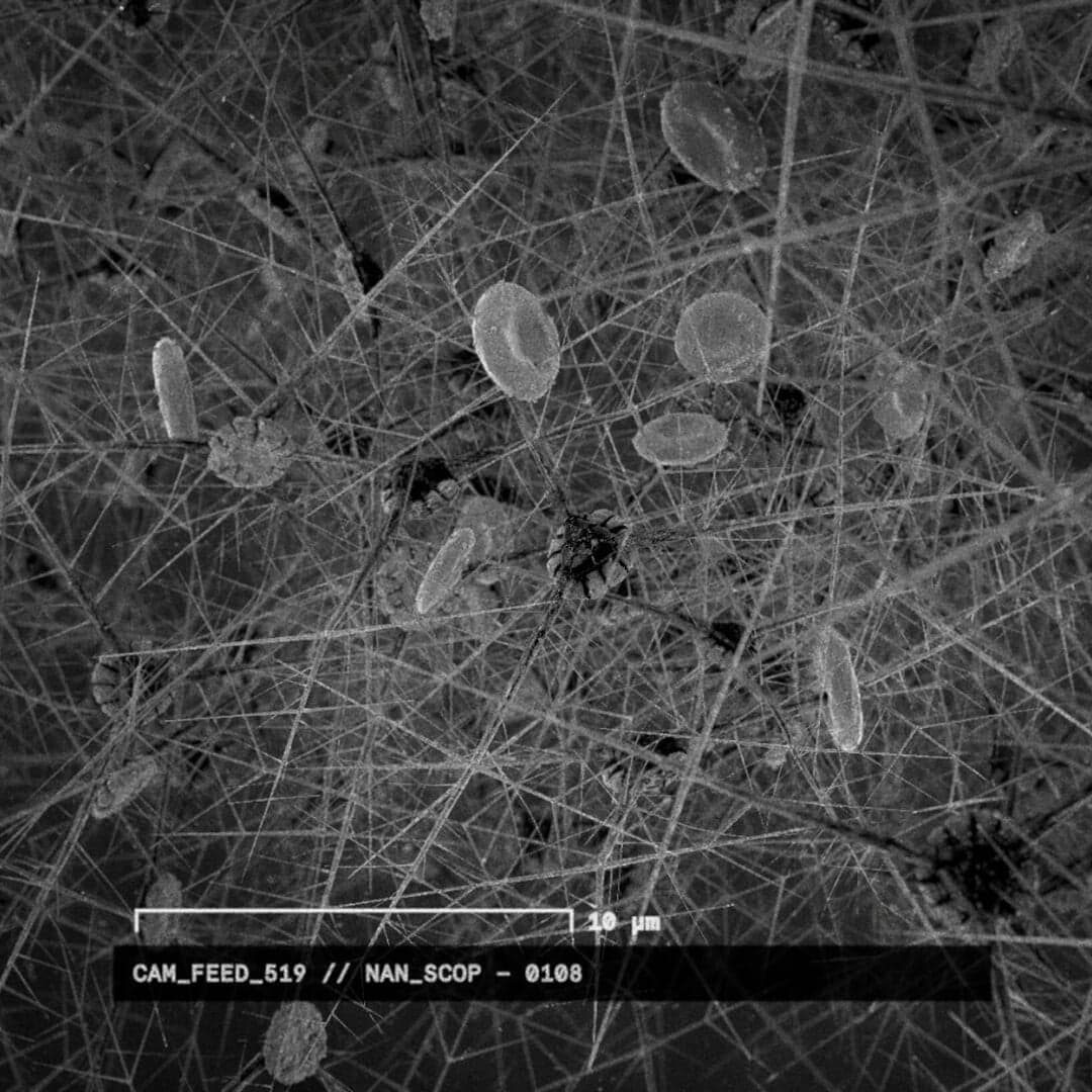 Screen Graphics And World-building For Bond: No Time To Die