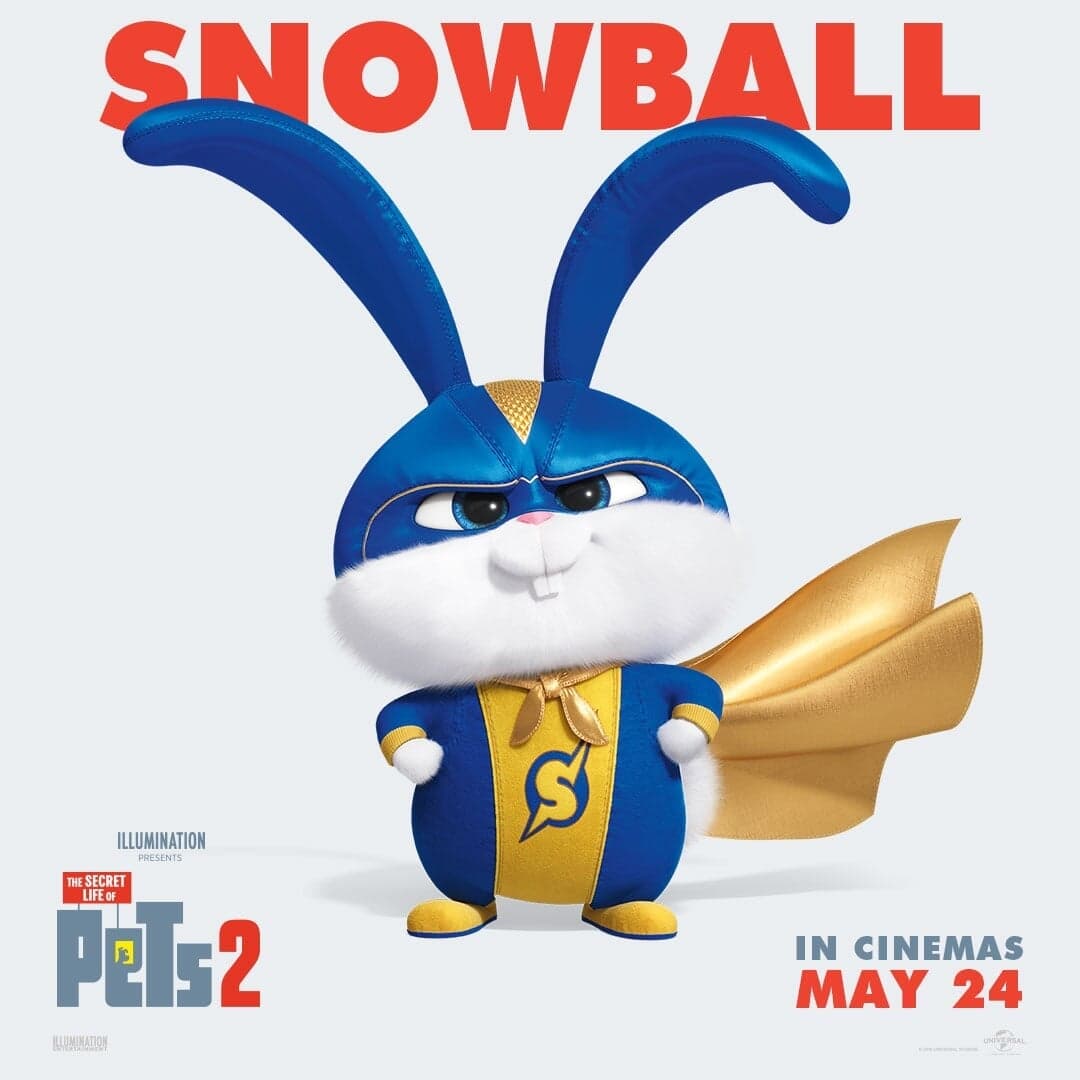 Motion Graphics For The Secret Life Of Pets 2