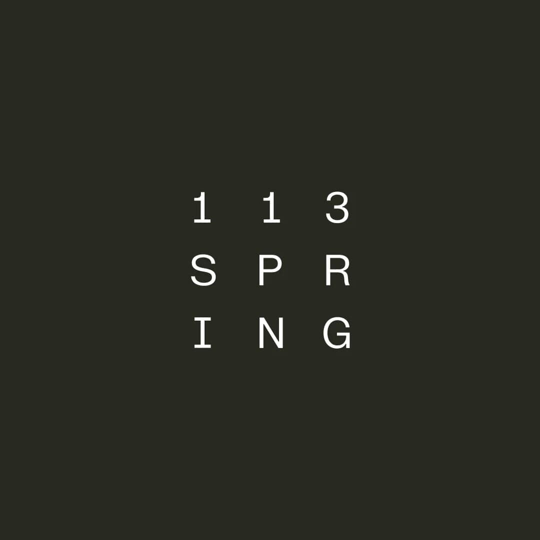 Generative Brand Expressions For 113 Spring
