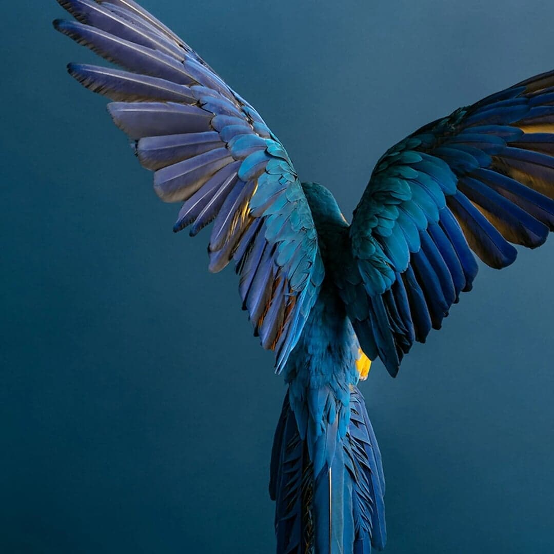 Brand Identity For Loula's Taverna