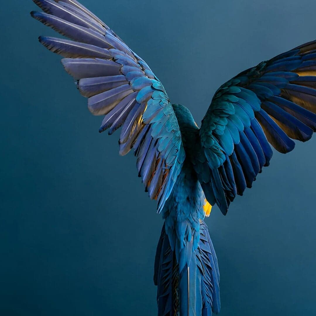 Brand Identity For A Roman-inspired Wine Bar