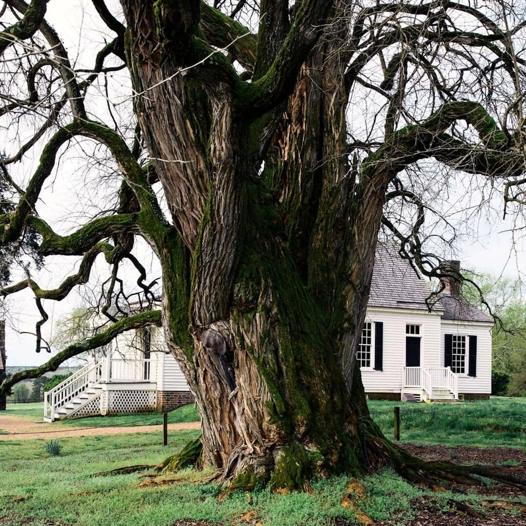 Identity And Website Design For Gathering Growth Foundation