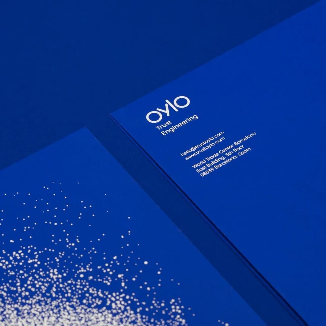 Brand Identity For Cybersecurity Firm Oylo