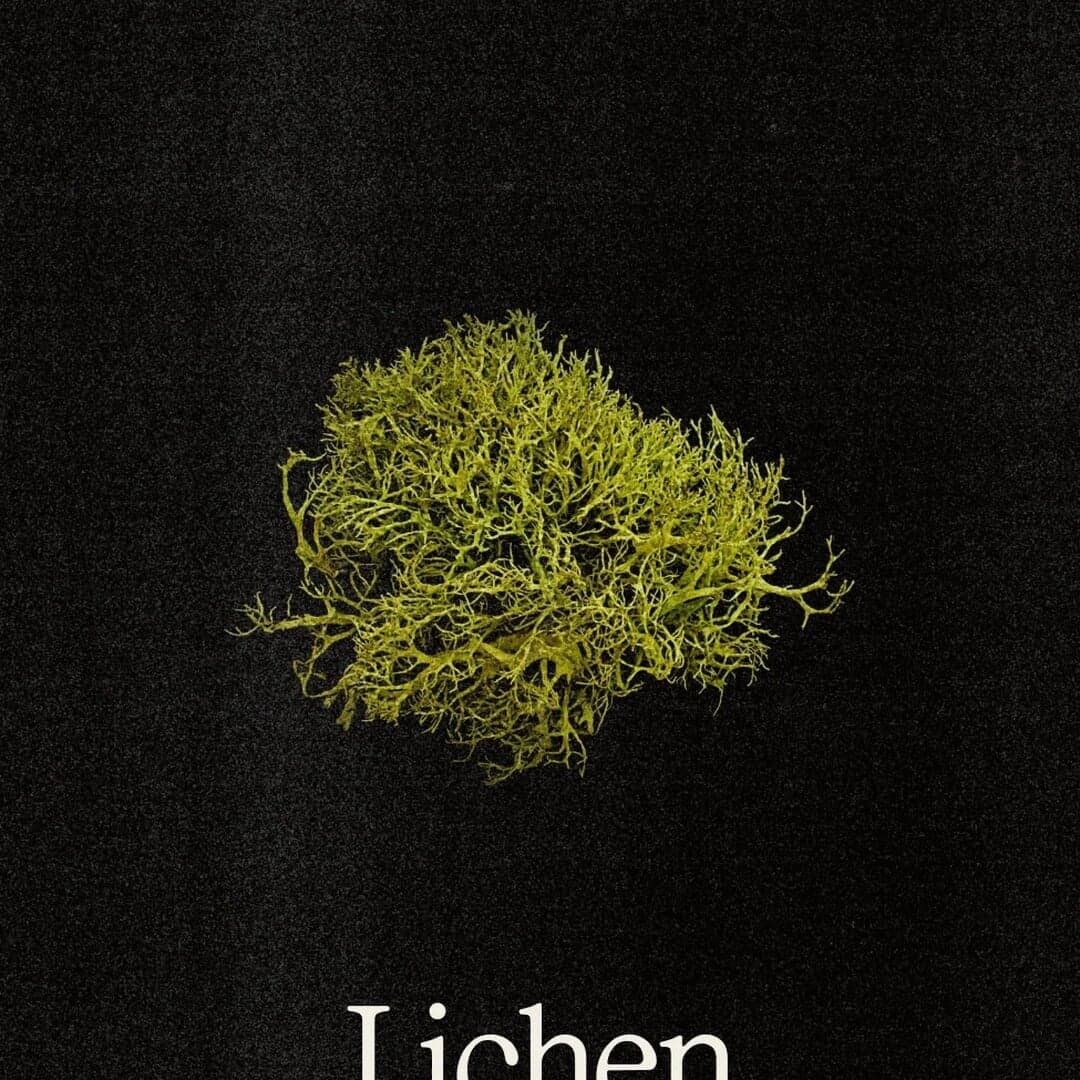 Brand Identity And Website For Chez Saint-pierre Restaurant