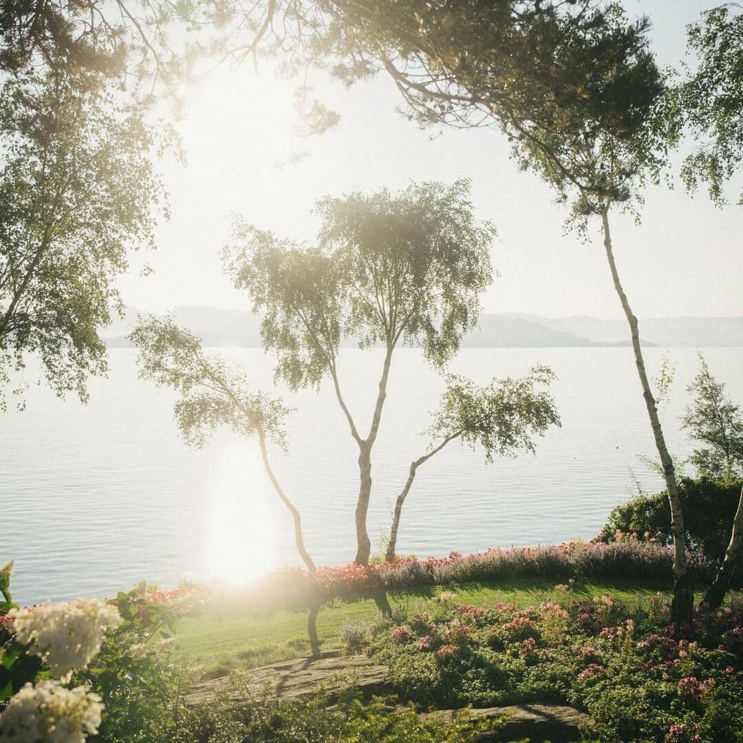 Brand Identity And Website Design For Flor & Fjære