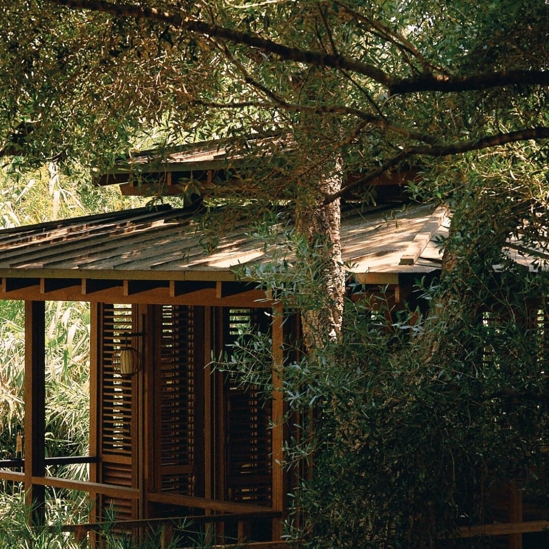 Architectural Identity For Le Grillon Retreat