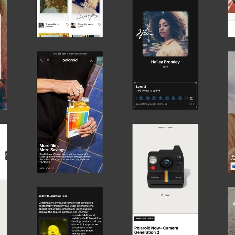 Website Redesign For Polaroid