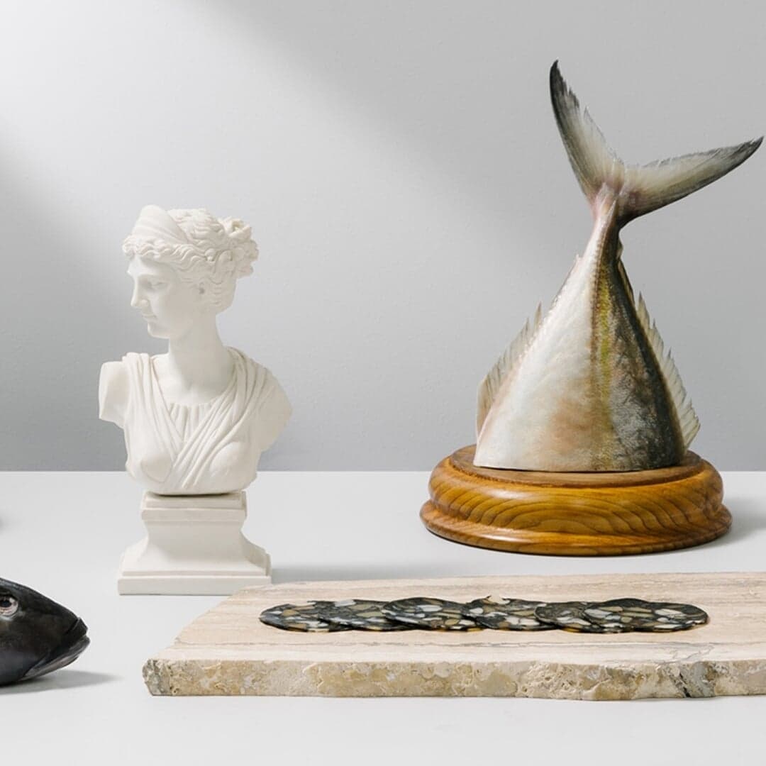 Brand Creation And Campaign For A New Zealand Food-tech Company