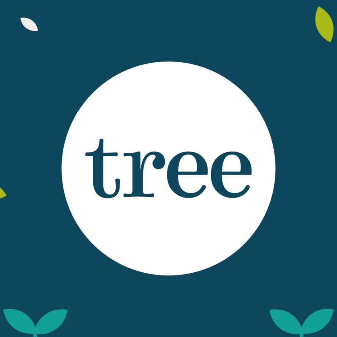 Brand Refresh And Website Redesign For Tree Accountancy