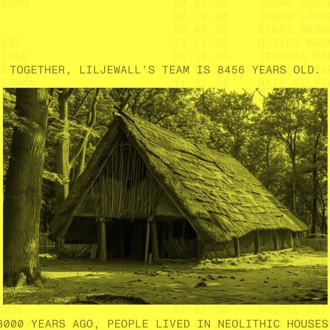 Website Design For Liljewall