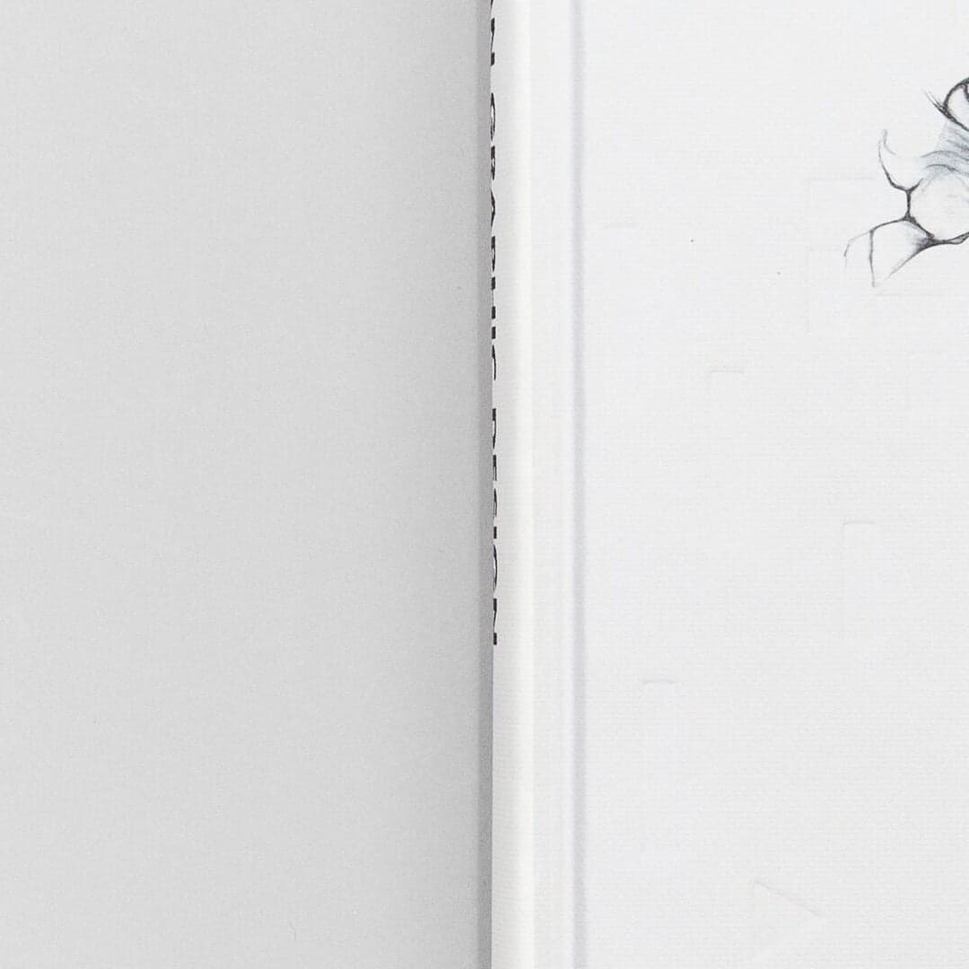 Publication Feature For Scandinavian Graphic Design