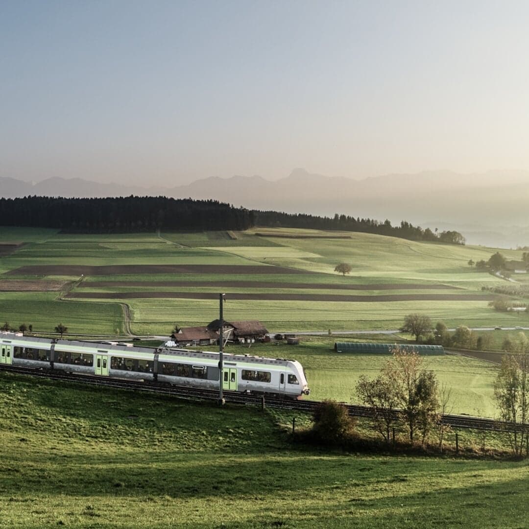 Digital Platform Redesign For Bls