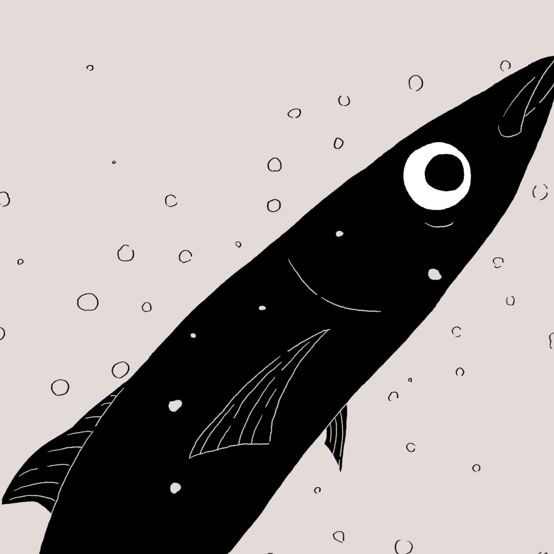 Brand Identity For Aya Japanese Restaurant