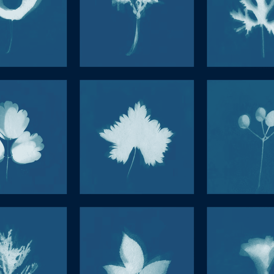 Visual Identity For Community Gardening Collective Grow To Know