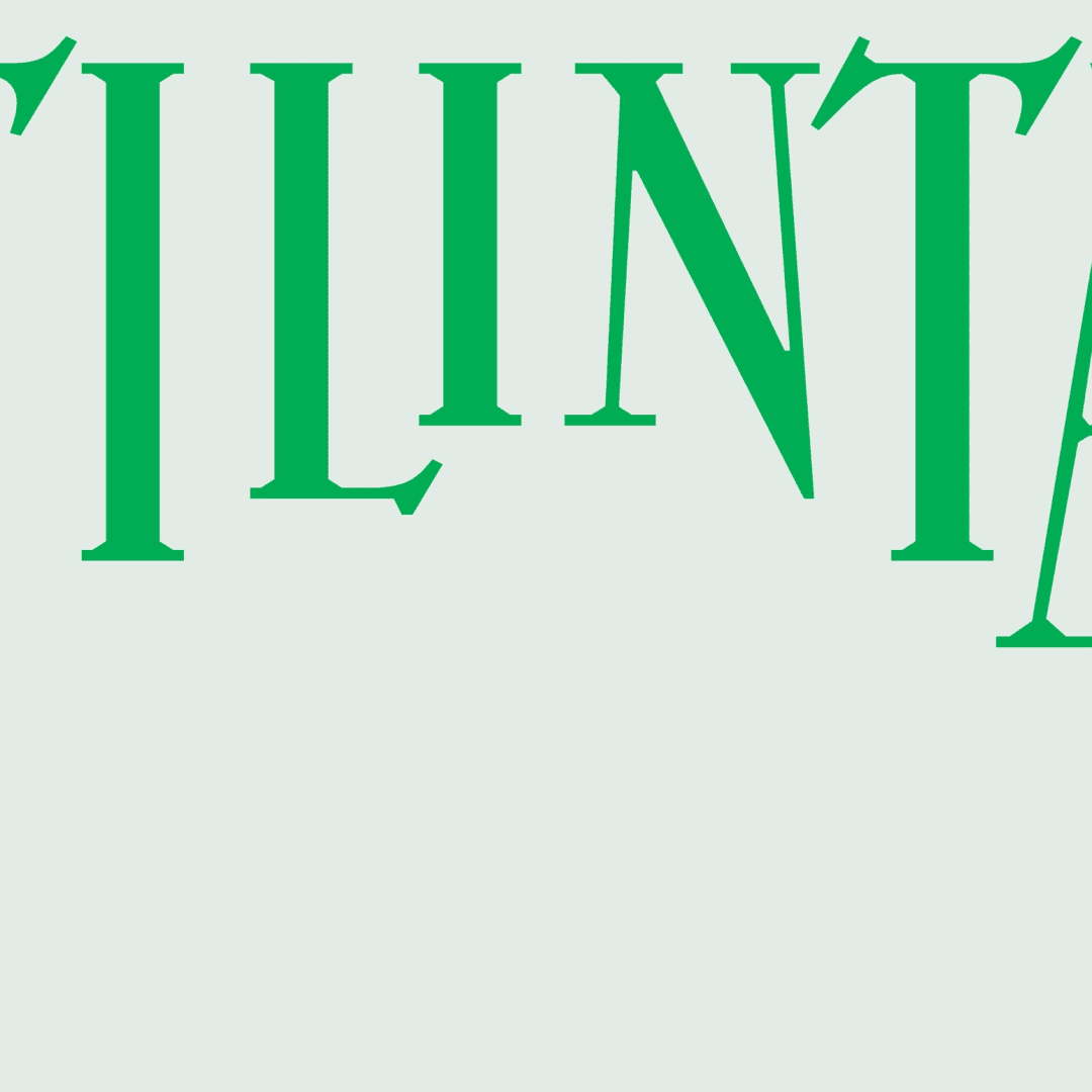 Brand Identity For Tilinta